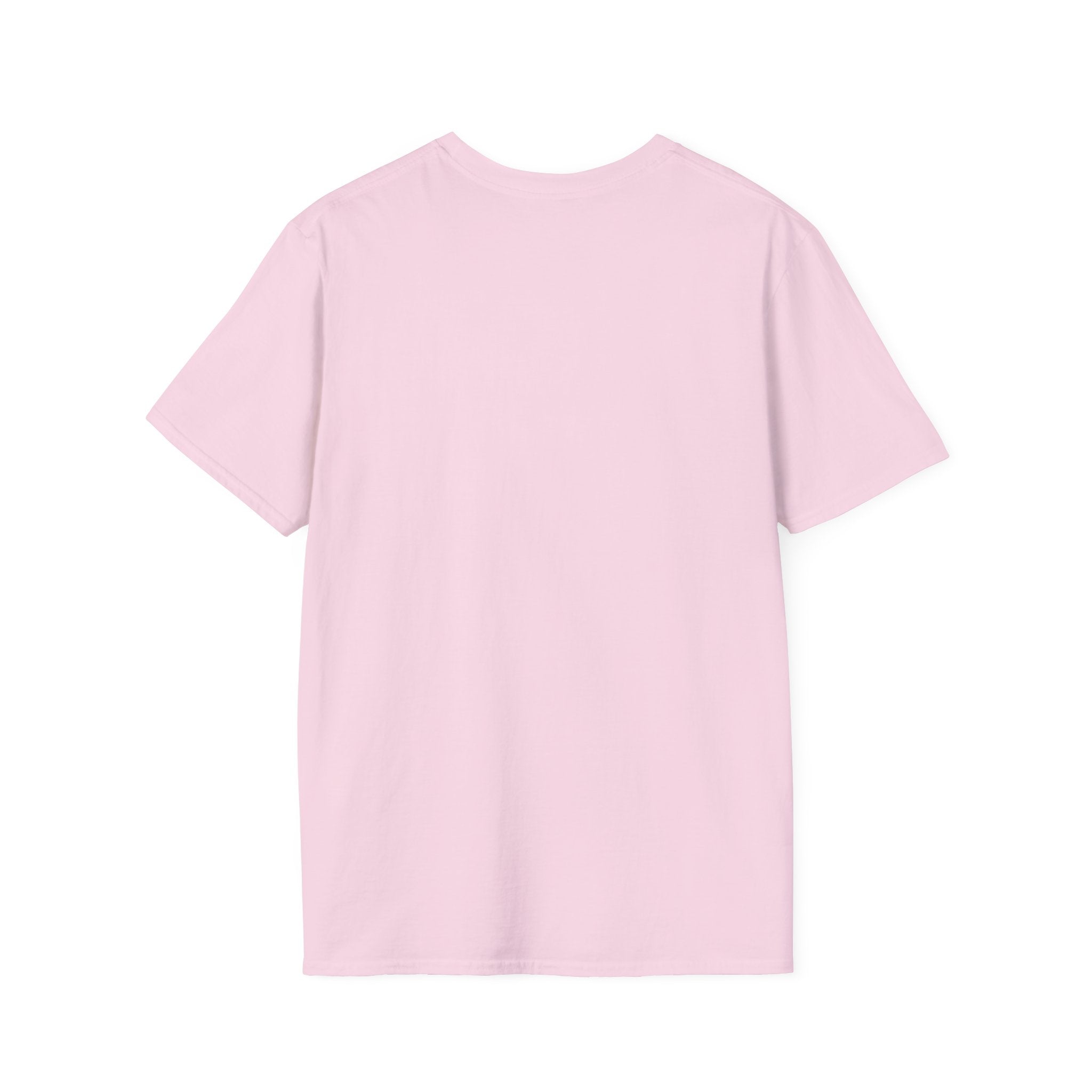 Just because I am a girl doesn't meant I am stupid Tee - Disgraced Edition