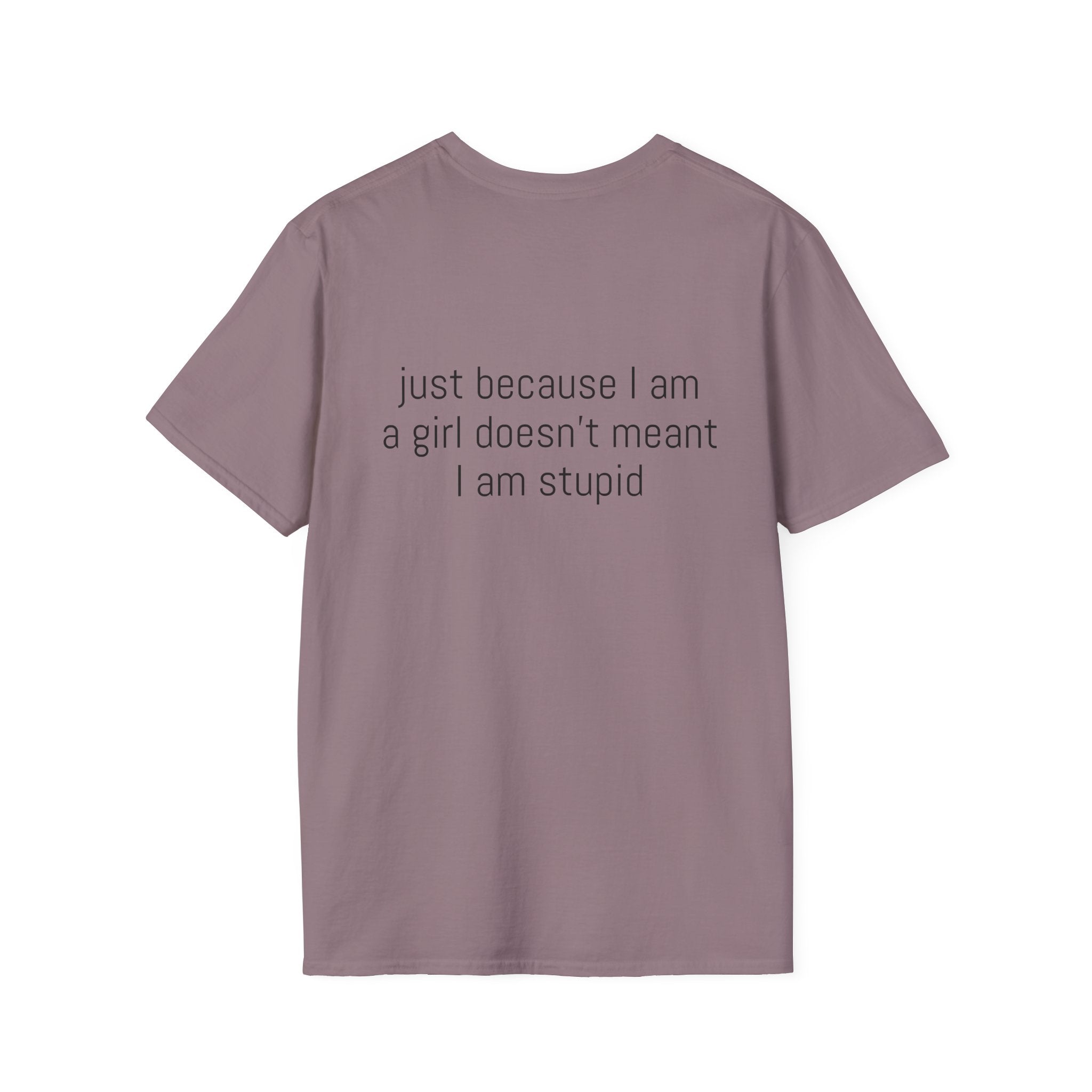 Just because I am a girl doesn't meant I am stupid Tee